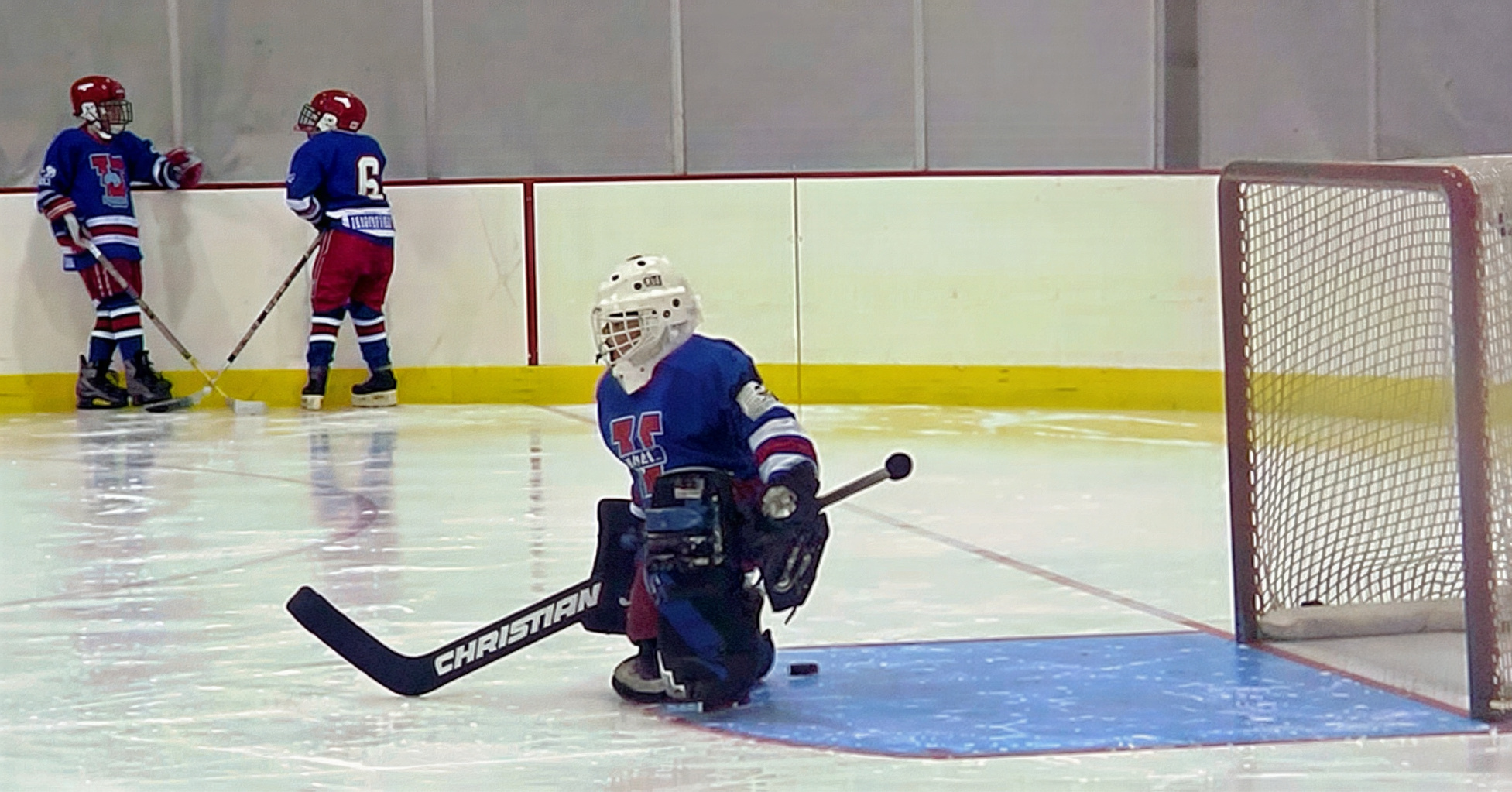 Mike Garman, the only goalie we had for 8 years.  He played over 600 consecutive games to beat Glenn Hall's NHL record!