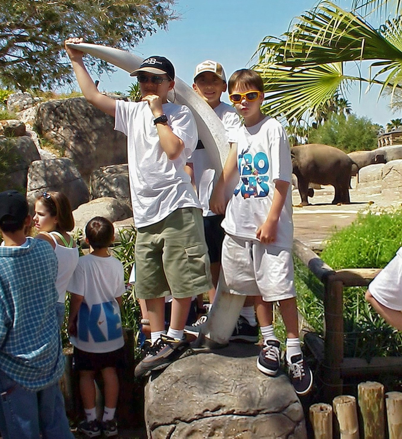 Alex Biegler, Austin Chow, Coulter Somes