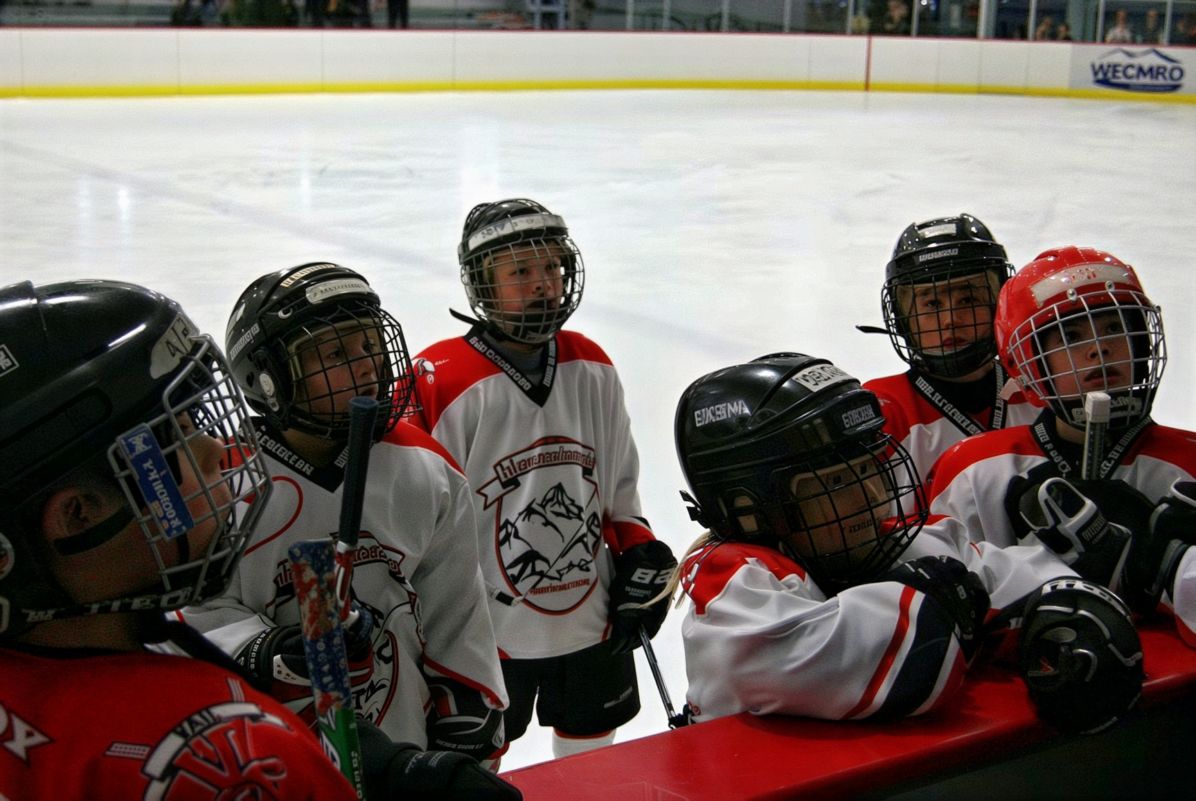Various Pictures from Squirts 2010-2011 photo