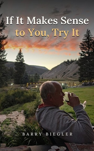 Cover of the book If It Makes Sense to You, Try It by Barry Biegler